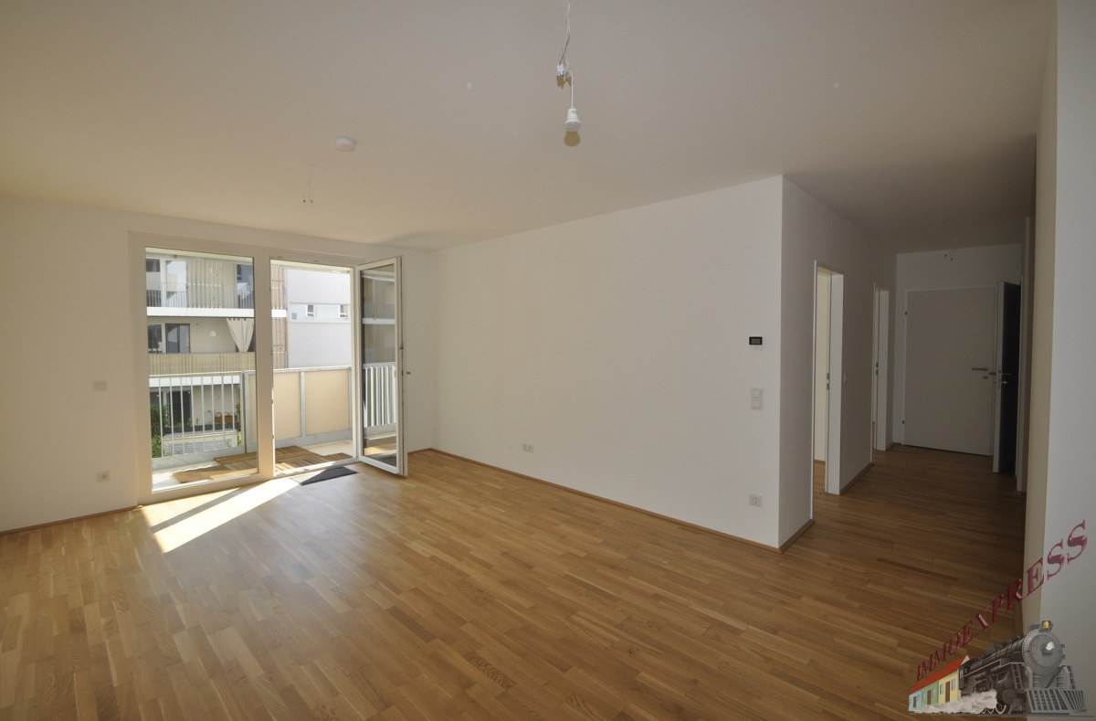 Bild1