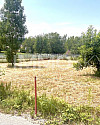 Ansicht vorne rechts