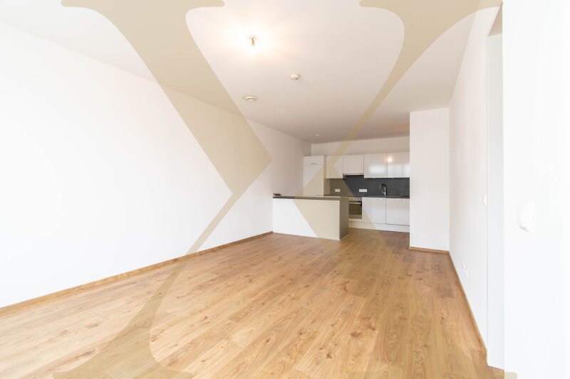 Musterfoto Wohnbereich mit Küche