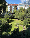 Bild Garten.jpeg