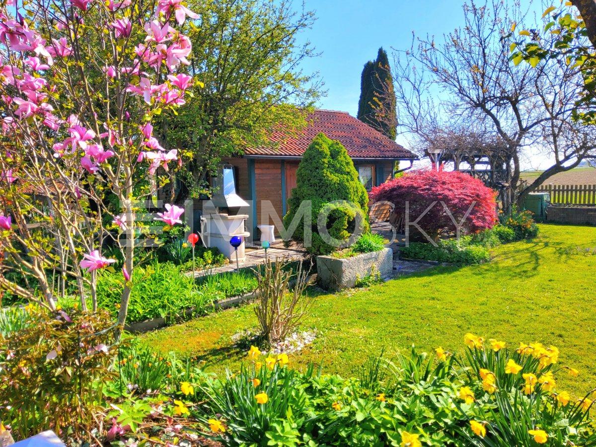 Grillplatz mit Terrasse vor dem Haus
