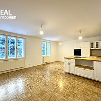 Wohnraum - Küche