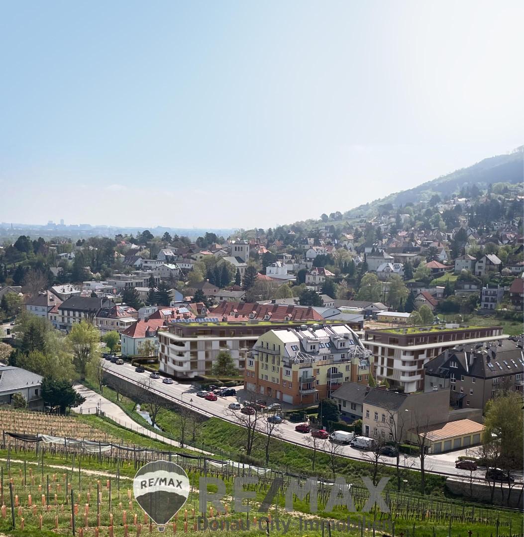 Schaubild Schwarzes Kreuz