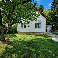 Bild1